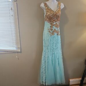 Elegant Aqua and Gold Lace Gown